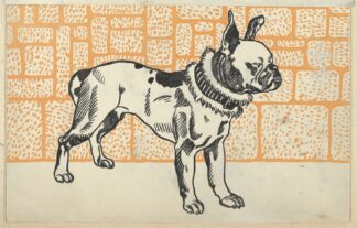 Pitbull Terrier by Moriz Jung