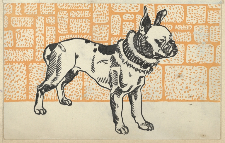 Pitbull Terrier by Moriz Jung