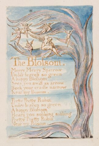 Pl. 17 – The Blossom by William Blake