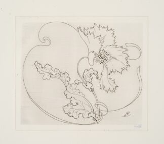 Plat rond by Félix Bracquemond