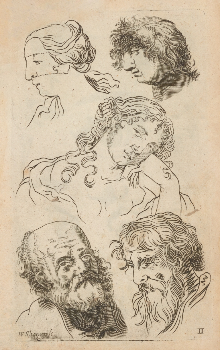Plate II: Artist study of male heads and female head:torso by William Salmon