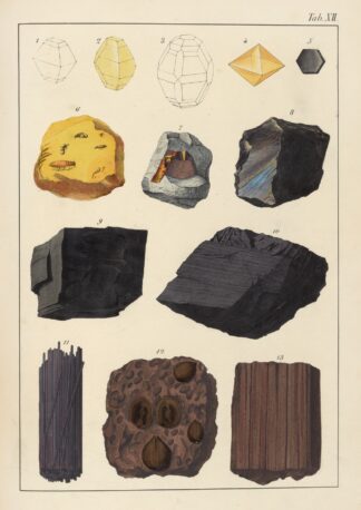 Plate XII: Sulphur, Honey-Stone, Graphite, Coal, Lignite by Johann Gottlob Kurr