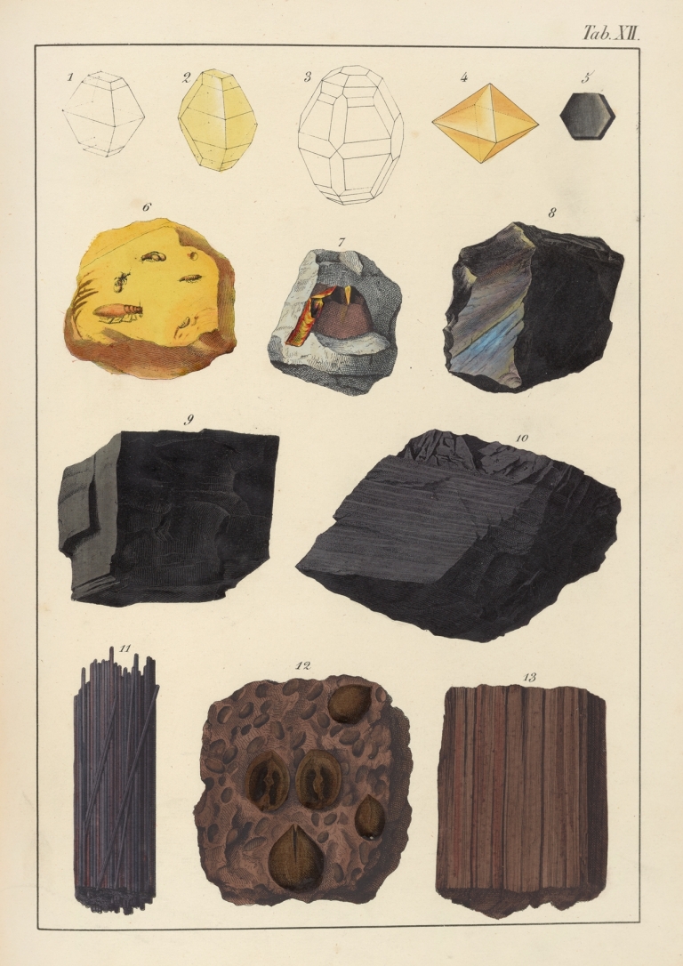 Plate XII: Sulphur, Honey-Stone, Graphite, Coal, Lignite by Johann Gottlob Kurr