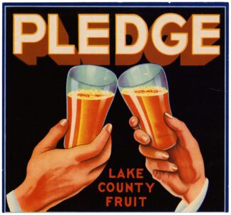 Pledge Fruit Label by Anonymous