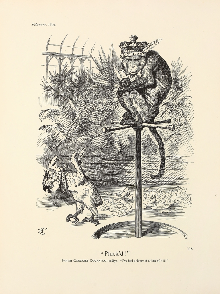Pluck’d! by Sir John Tenniel