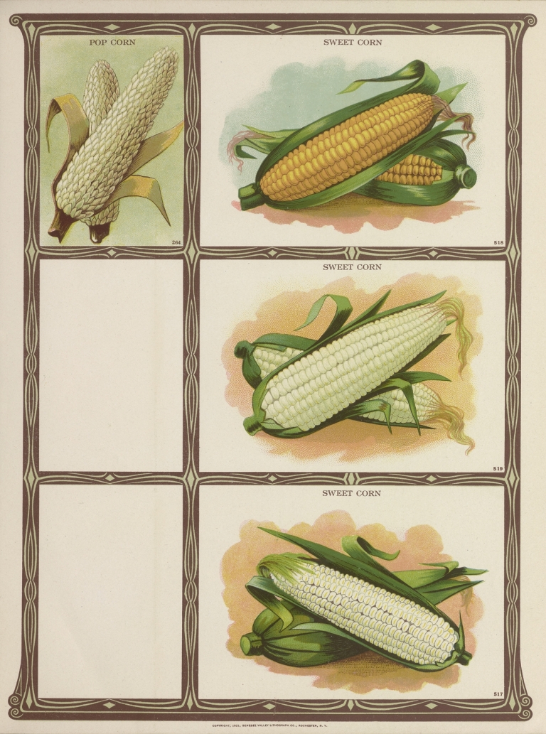 Pop Corn, Sweet Corn by Genesee Valley Lithograph Co.