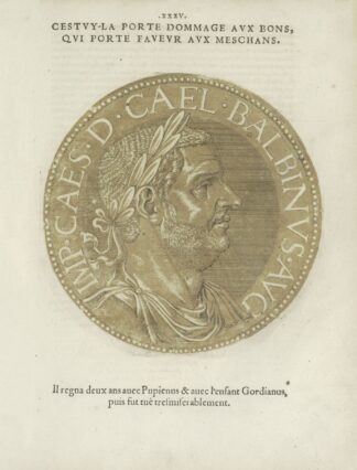 Portrait of Emperor Balbinus by Hubert Goltzius