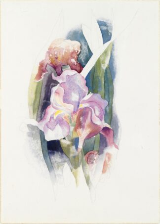 Purple Iris by Charles Demuth