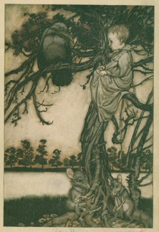 Put his strange case before old Solomon Caw by Arthur Rackham