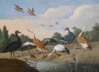 Reiher und Enten by Jan Van Kessel The Elder
