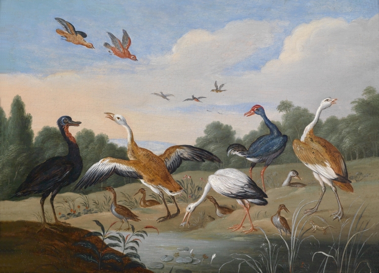 Reiher und Enten by Jan Van Kessel The Elder