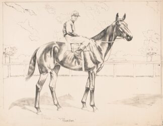 Roseben by Anonymous