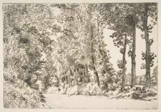 Rue des Bruyères, à Sèvres by Félix Bracquemond