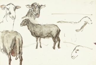 Schetsen van schapen by Sientje Mesdag Van Houten