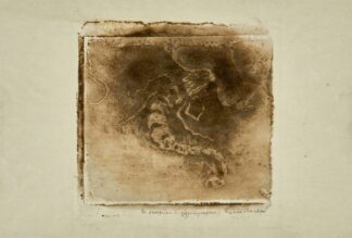 Scorpion by Pierre Roche