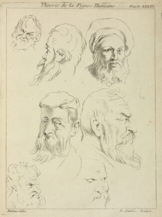 Seven male heads, all with beards, two wearing caps by Peter Paul Rubens
