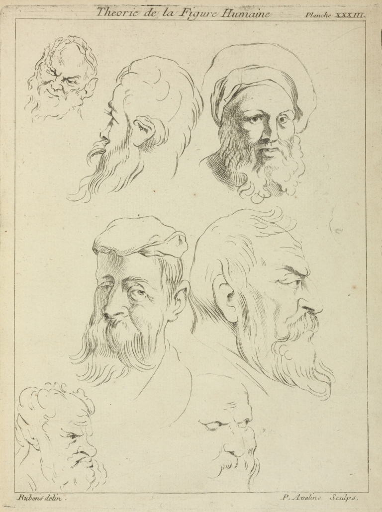 Seven male heads, all with beards, two wearing caps by Peter Paul Rubens