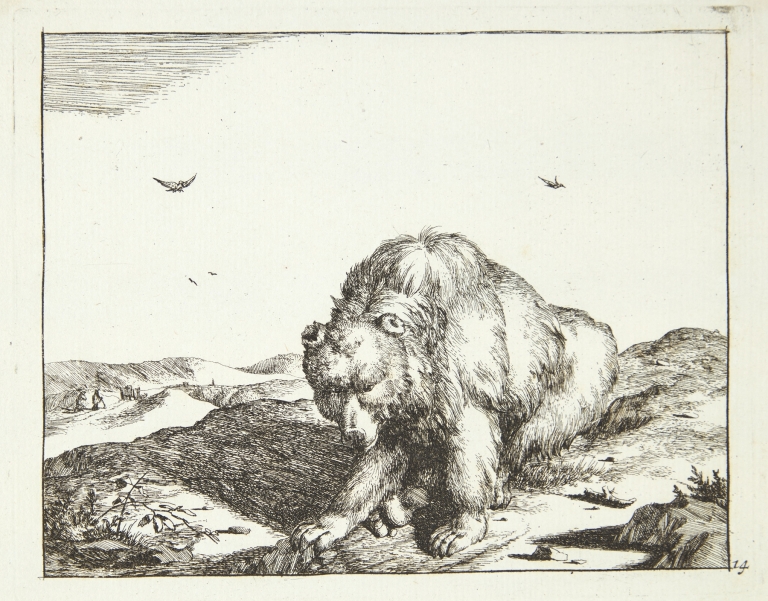 Siddende bjørn, set forfra by Marcus de Bye