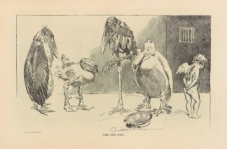 Some rare birds by Charles Dana Gibson