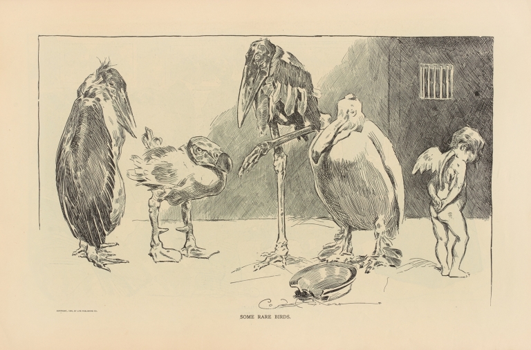 Some rare birds by Charles Dana Gibson