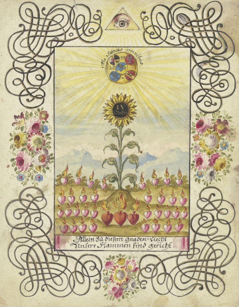 Sonnenblume mit Goldaufschrift by Johann Esaias Nilson