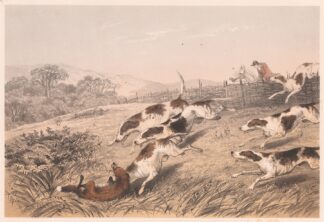 Sporting Sketch by J. T. Downman