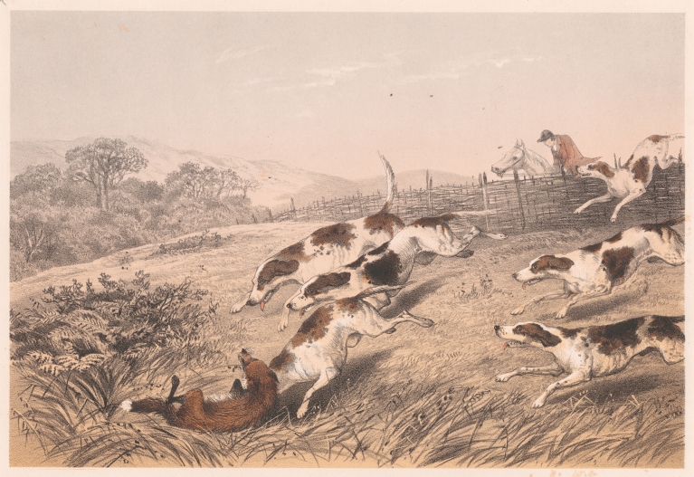 Sporting Sketch by J. T. Downman