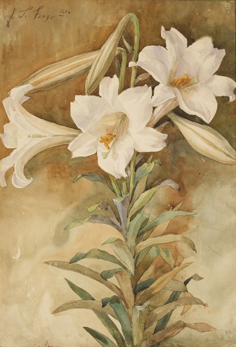 Still Life of Easter Lilies by John La Farge