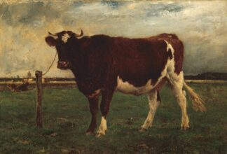 Study of a Cow by Émile van Marcke