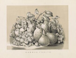 Summer fruits by Currier & Ives.