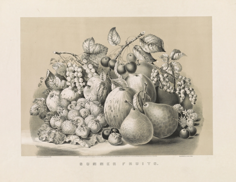 Summer fruits by Currier & Ives.
