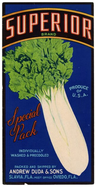 Superior Brand Celery Label by Anonymous