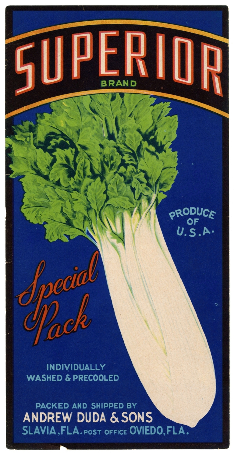 Superior Brand Celery Label by Anonymous