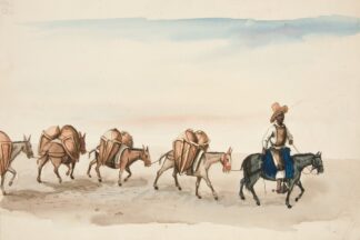 Team of Mules Led by Indian by Francisco Fierro