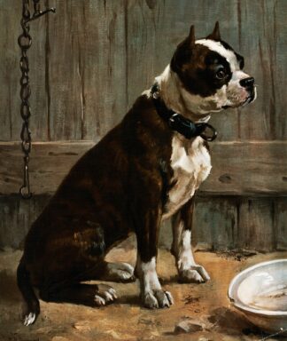Terrier Seated by Frances Townsend