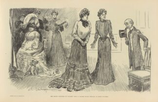 The brute ventures to suggest that a bonnet might possibly be more suitable by Charles Dana Gibson