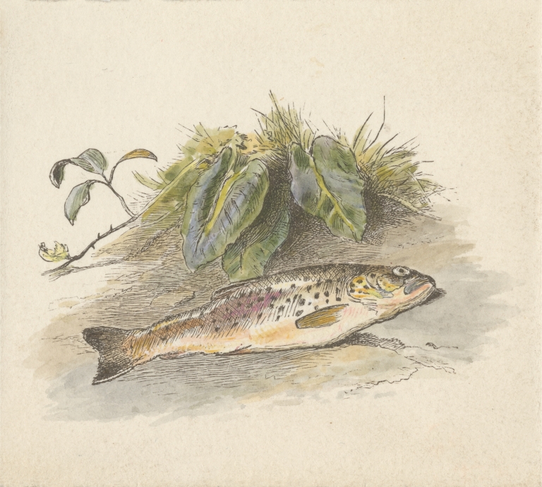 The Burn by Alfred W. Cooper