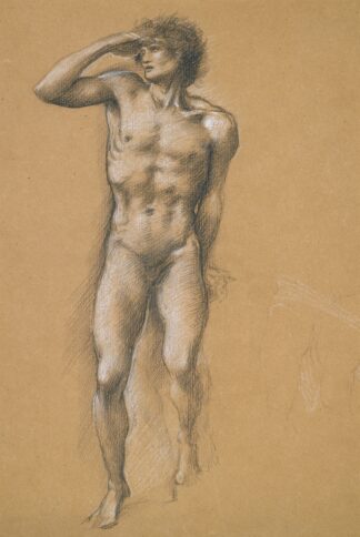 The Call Of Perseus by Sir Edward Coley Burne-Jones