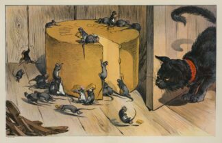 The coming of the cat by Udo Keppler