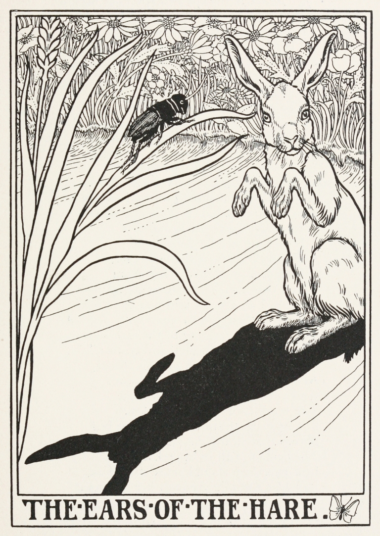 The Ears of the Hare by Percy J. Billinghurst