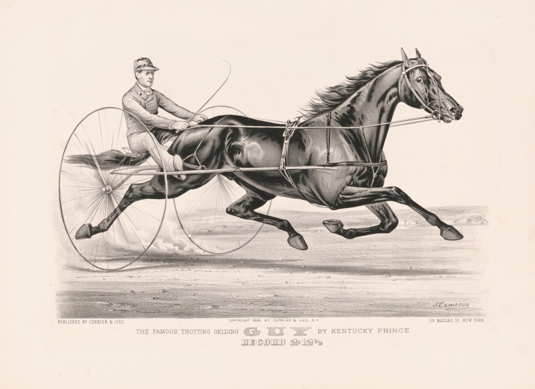 The famous trotting Gelding Guy by Kentucky Prince by John Cameron