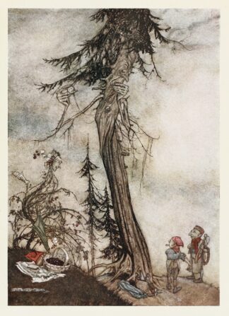 The Fir-tree and the Bramble by Arthur Rackham