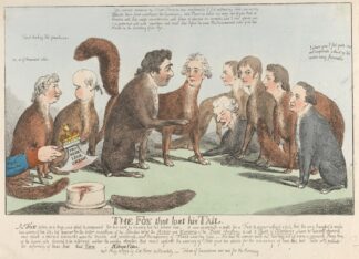 The Fox That Lost His Tail by Charles Williams
