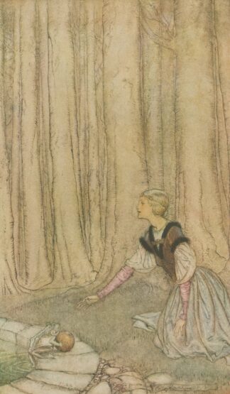 The frog prince by Arthur Rackham