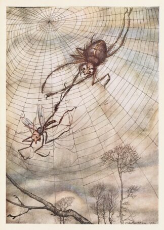 The Gnat and the Lion by Arthur Rackham