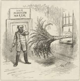The house that needs dusting very much by Thomas Nast
