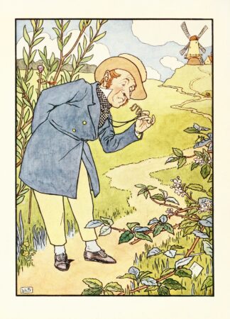 The jumblies and other nonsense verses Pl.7 by Leonard Leslie Brooke
