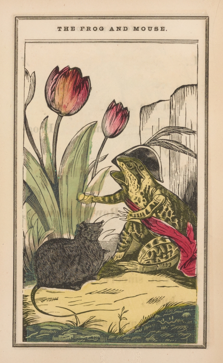 The little frog and pretty mouse Pl.5 by John B. Keller