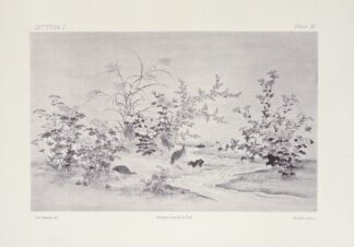 The ornamental arts of Japan Pl.010 by George Ashdown Audsley