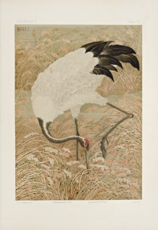 The ornamental arts of Japan Pl.016 by George Ashdown Audsley